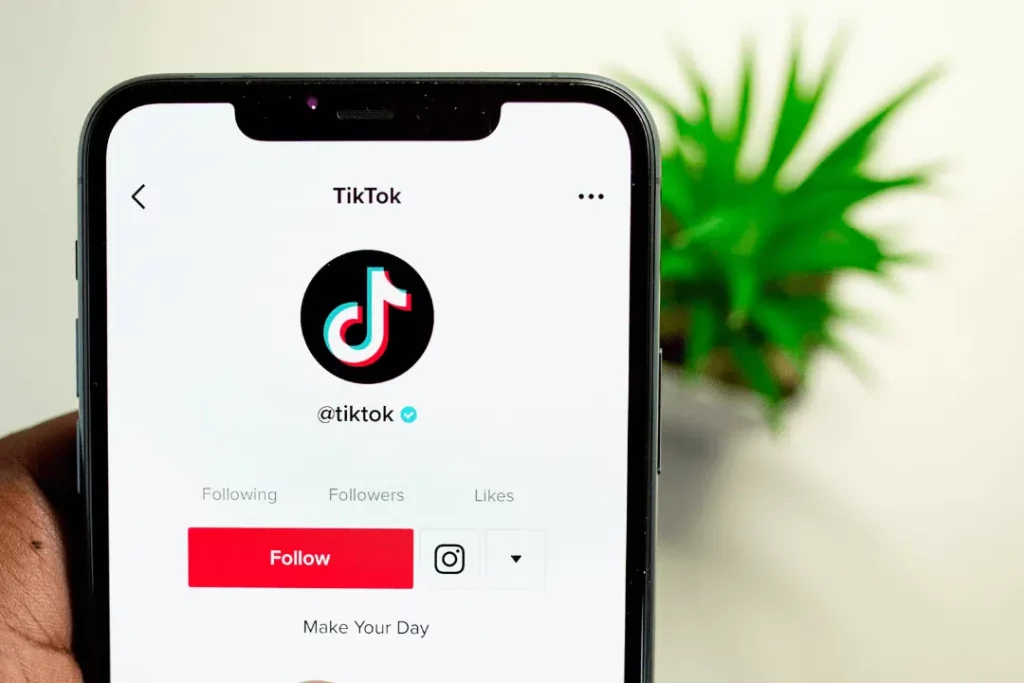 Building a Loyal Following on TikTok in the Philippines