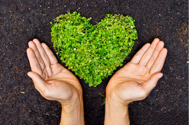 Going Green and Doing Good: Local Brands with Heart