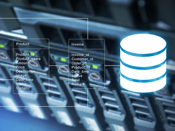 Database Server